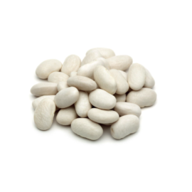 Haricot blanc