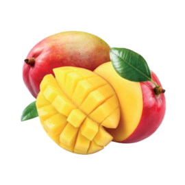 Mangue