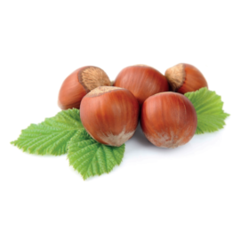 Noisettes
