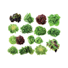 Salades